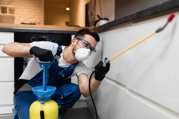 Trusted Lackawanna, NY Pest Control Experts