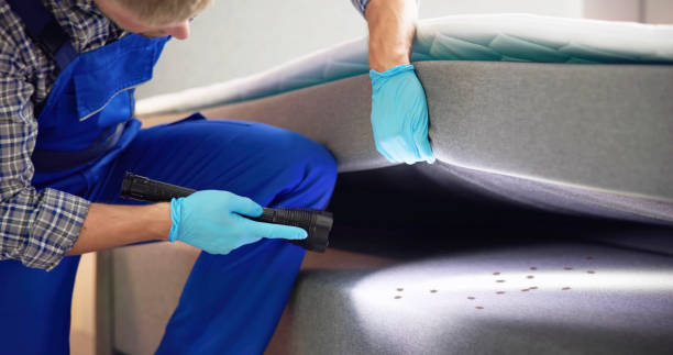 Best Mosquito Control Services  in Lackawanna, NY