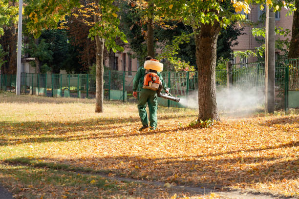 Best Local Pest Control Services  in Lackawanna, NY